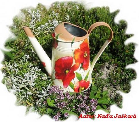 NJaskova 50 OZ.jpg
