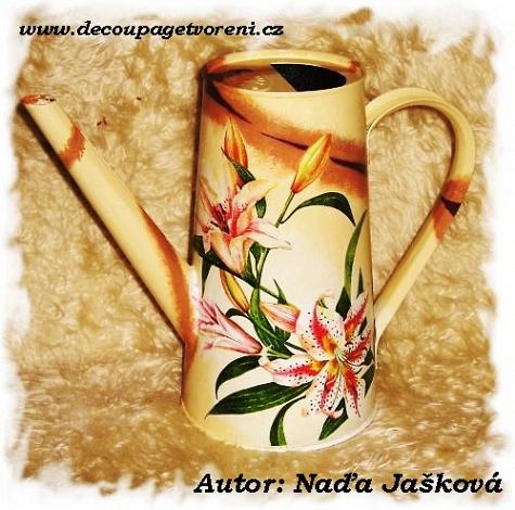 NJaskova 31 OZ