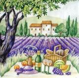 V levandulovém údolí Provence