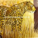 Leopard na lovu