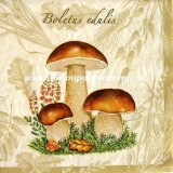 Atlas hub, béžové pozadí