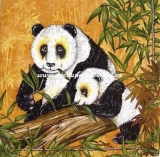 Medvídkové Panda