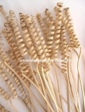Vrtule Cane Spring mini, 5 ks