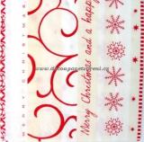 Merry Christmas and happy New Year