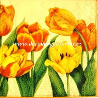 Oranžové tulipány