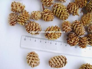 Šišky Salignum Loose 2,5 - 3,5 cm mix, 10 ks/bal.