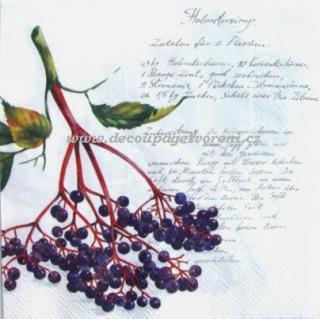 Recept na sirup z černého bezu, béžová