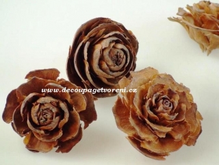 Květ Cedar Rose, 10 ks