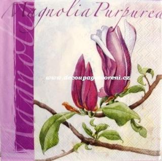 Magnolie fialová