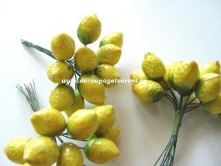 Citrony, 12 ks/bal.