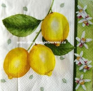 Citrony na větvičce