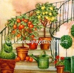 Stromky s konvičkou na schodech