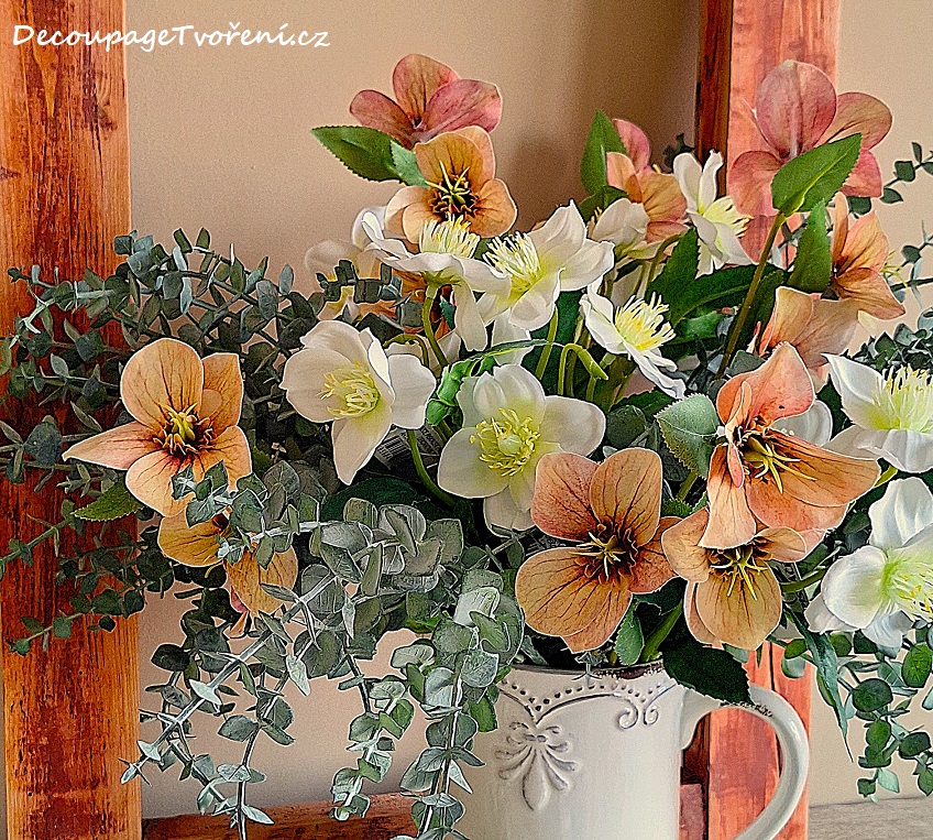 Elegantní květina, když začíná jaro. Čemeřice rozzáří domov.