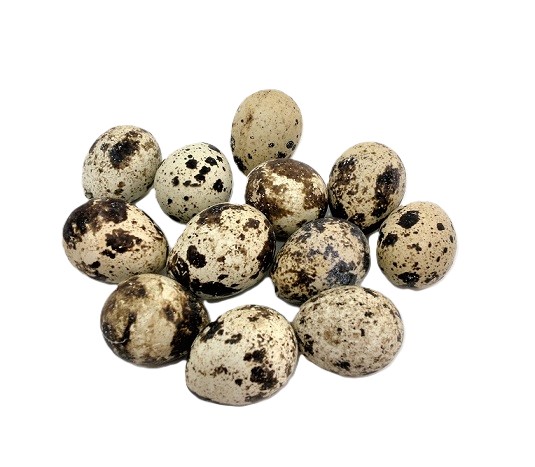 Vejce │ křepelčí