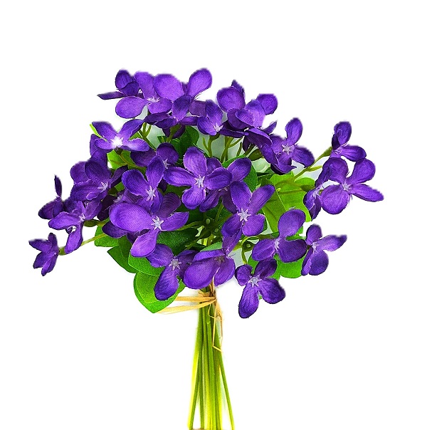 Fialky, macešky, anemon