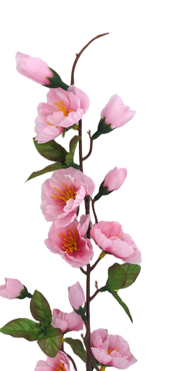 Dřeviny s květem │ Ovocné