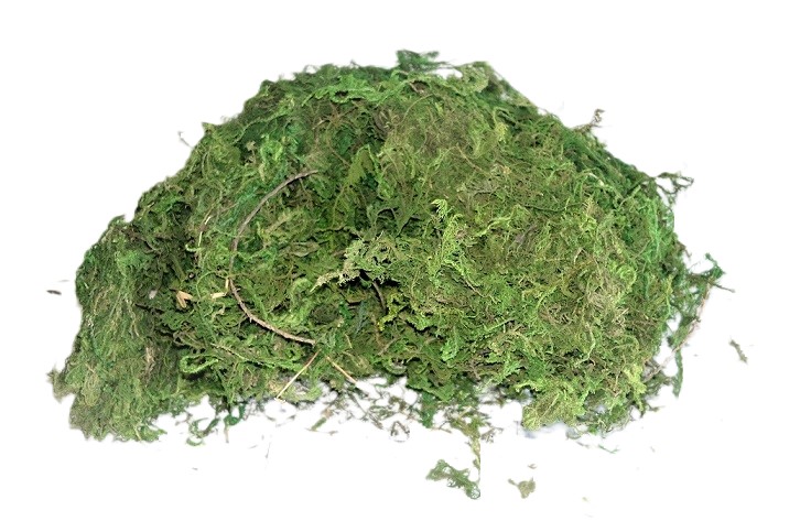 Lišejník, mech, curly, sisal