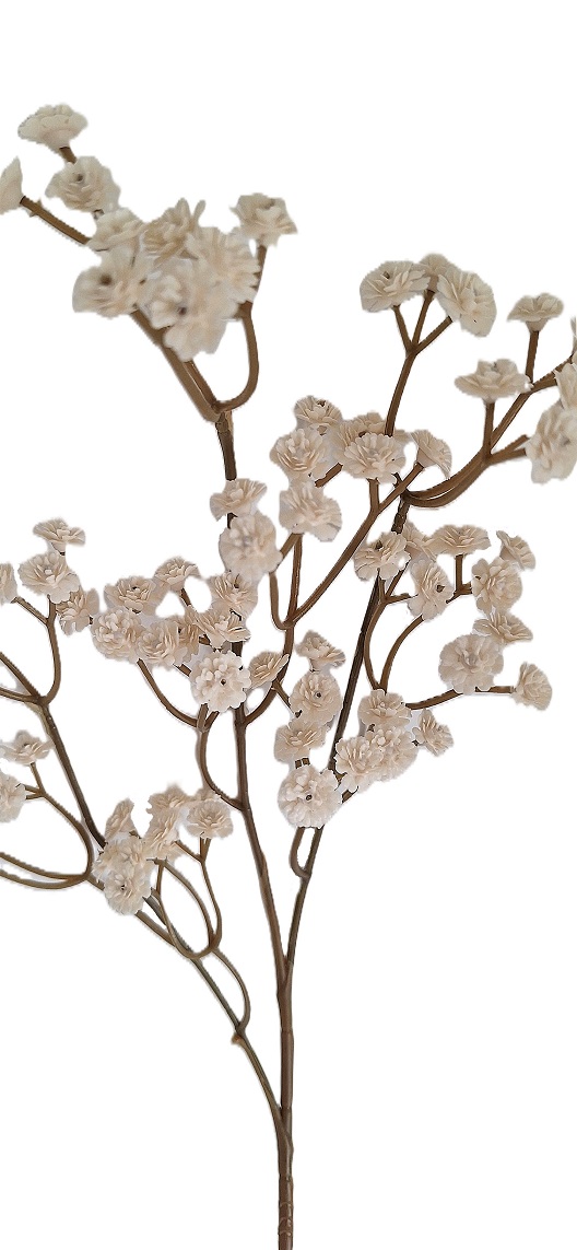 Šáter (Gypsophila, Nevěstin závoj)