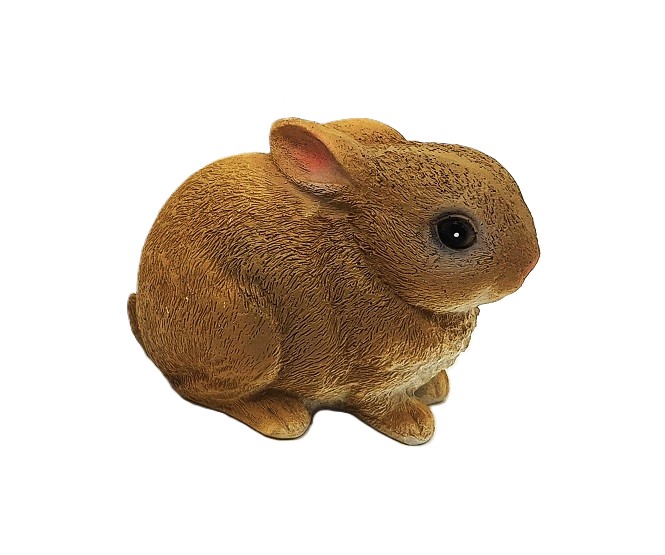 Zajíci