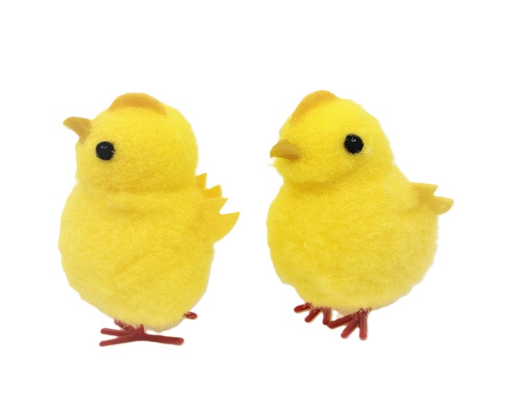 Kuřátka, slepice, kohouti