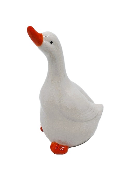 Husy, kachny, žáby, aj.