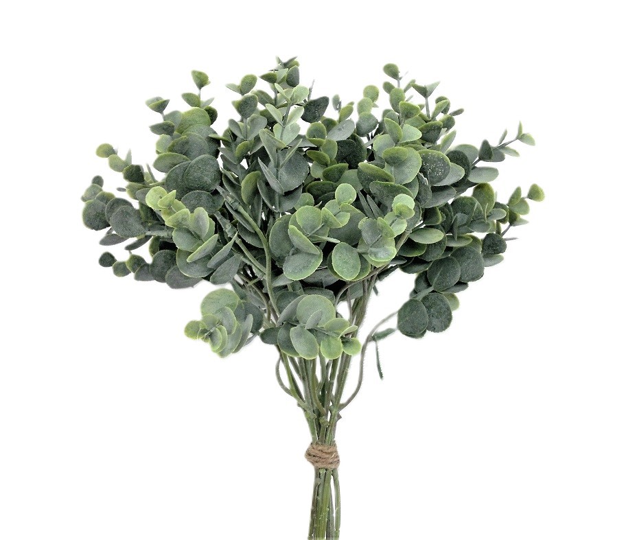Eukalyptus