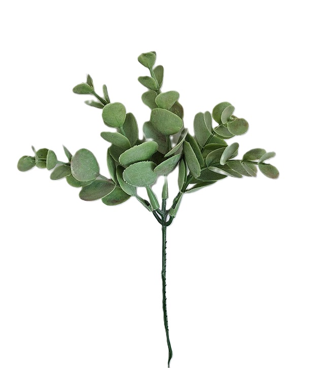 Dřeviny │ byliny, eukalyptus, listí, kapradiny, s květem a bobulemi