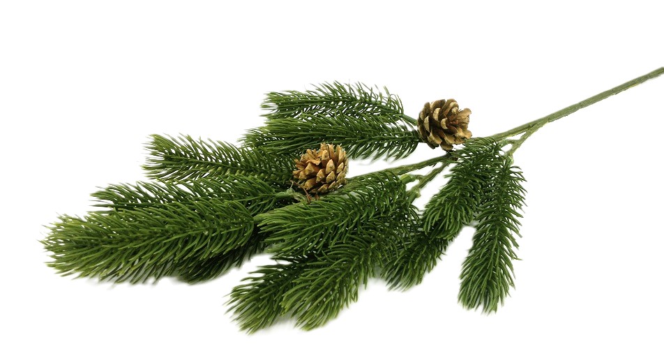 Dřeviny │ chvojí, stromky, šišky, věnce