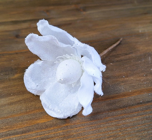 Květiny │ zimní a vánoční 