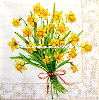 Květiny │ fialky, narcis