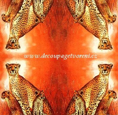 Levhard, 20 ks /bal.