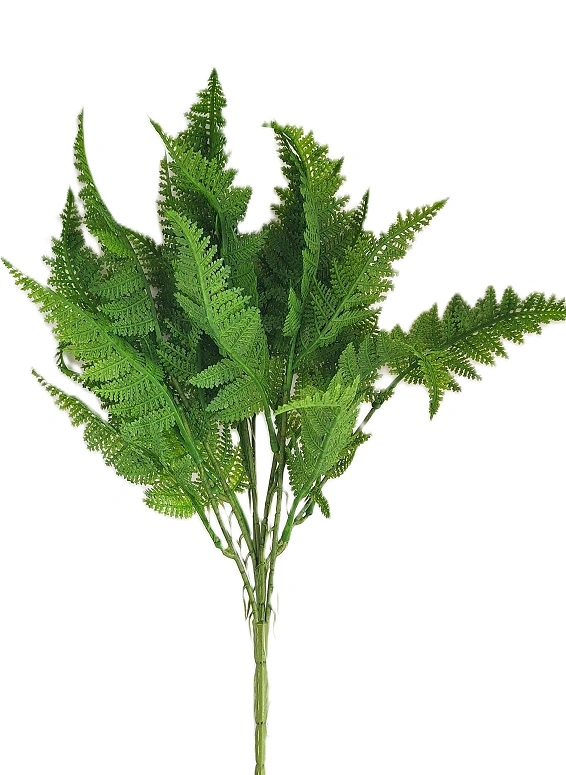 Kapradí 40 cm, zelená
