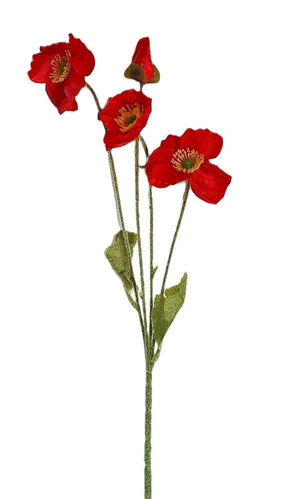Vlčí mák 60 cm (3 květy, 1 poupě, 2 listy), červená tmavá