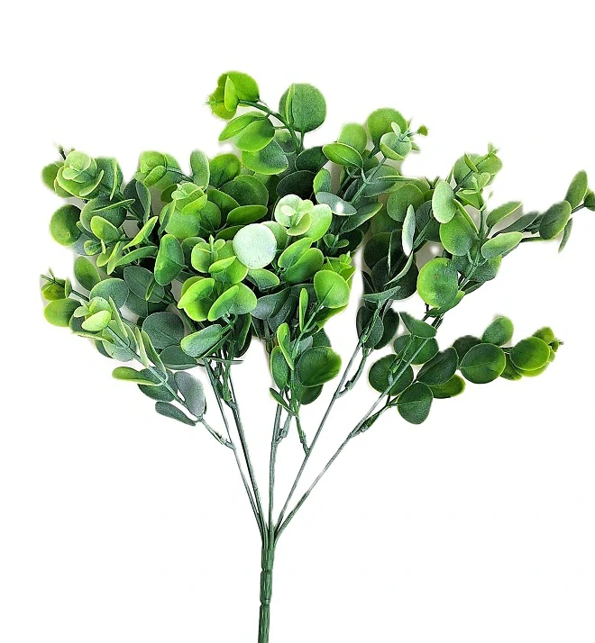Eukalyptus Camelia 37 cm, světlá zelená