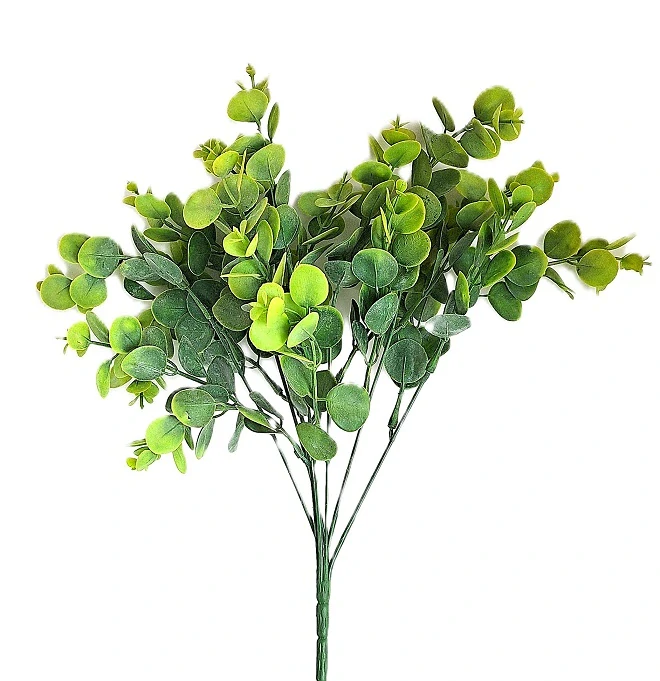 Eukalyptus Camelia 37 cm, zelenožlutá
