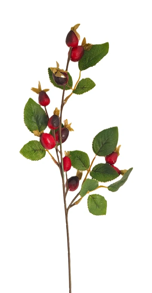 Větev šípek 50 cm, s listy