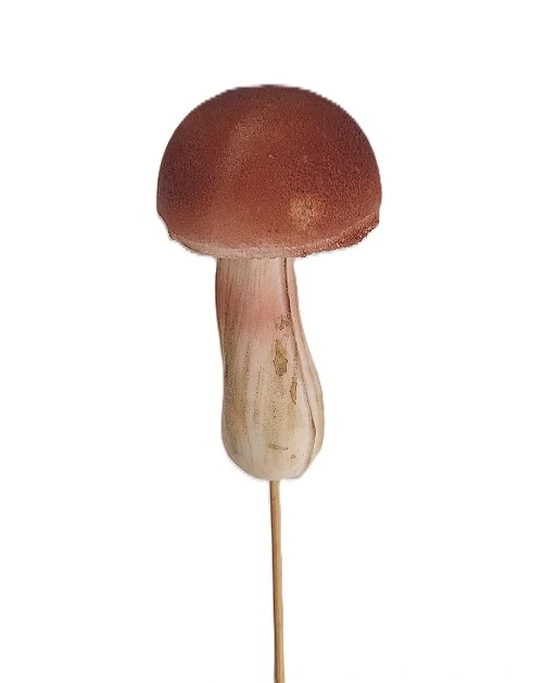 Hříbek 8 cm (PS)