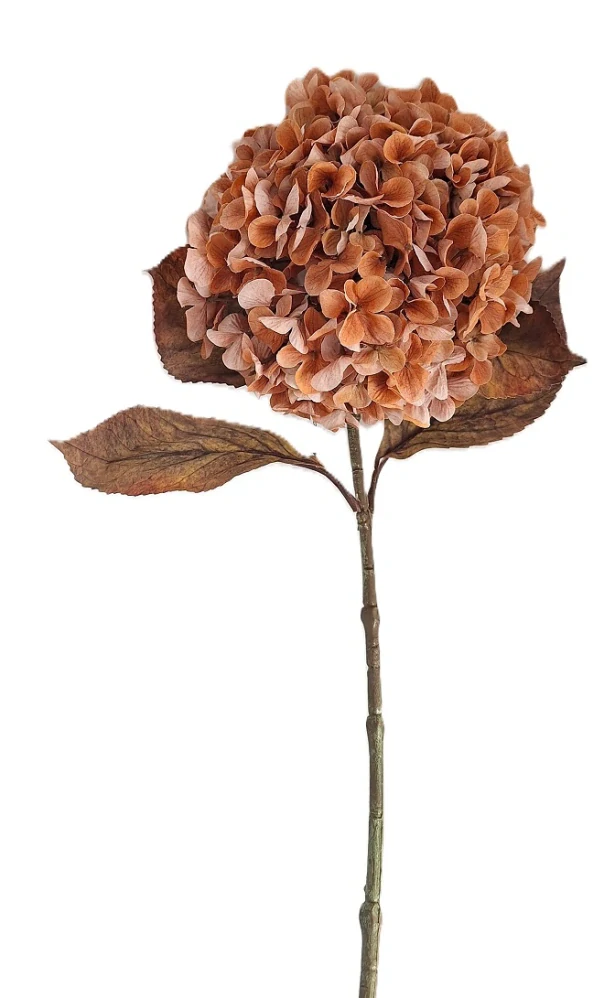 Hortenzie 65 cm, květ pudr oranžová