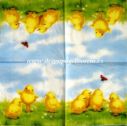 Malá kuřátka s beruškou