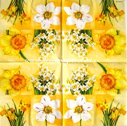 Narcis žlutý, bílý