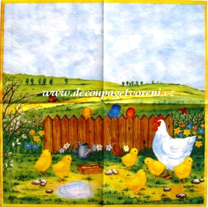 Na dvorku s kuřátky