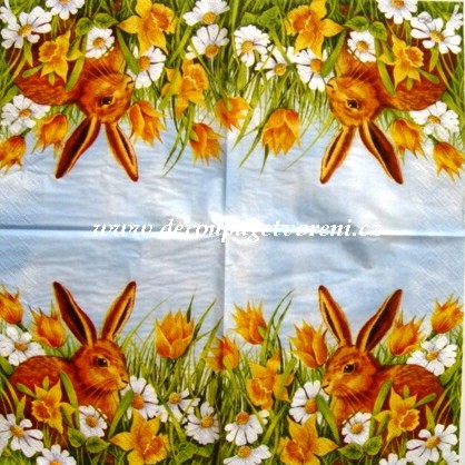 Zajíc, narcisy a kopretiny