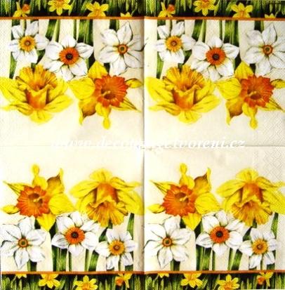 Narcis žlutý, bílý - béžová