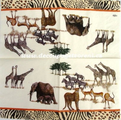 Žirafa, levhard, zebra, aj.