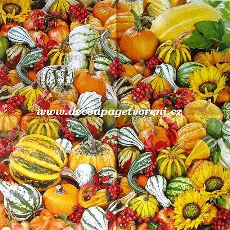 Dýně a slunečnice