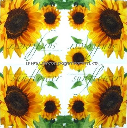 Květy slunečnice 4.