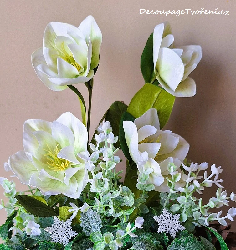 Čemeřice 36 cm květy/poupě, bílá