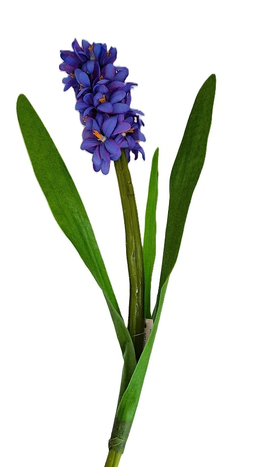 Hyacint 45 cm s listy, modrá