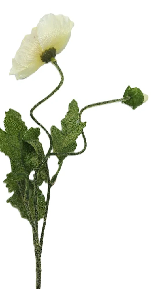 Vlčí mák 45 cm, květ bílá