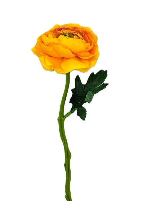 Ranunculus 32 cm, žlutá